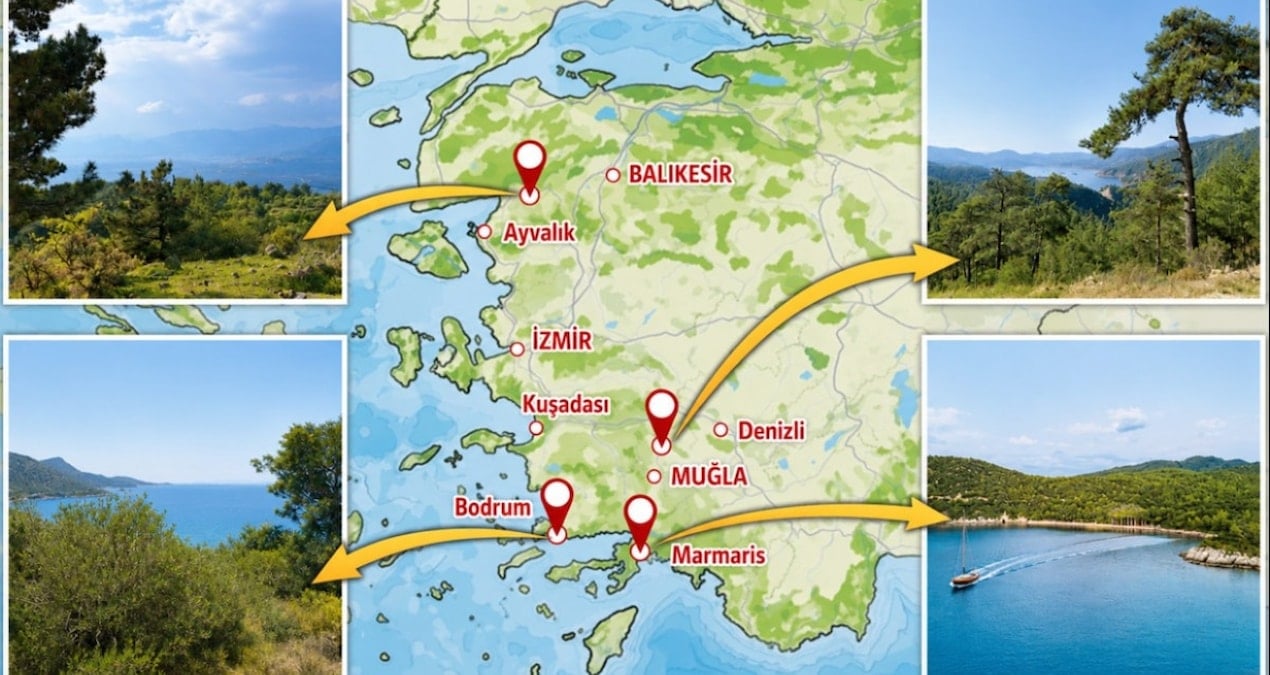 19 Mayıs’ta Orman Alanları Satışa Çıkıyor