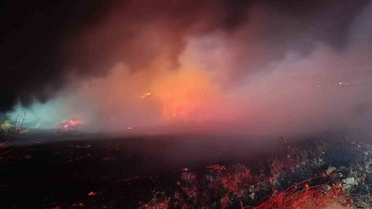 Erzincan’da saman balyalarında yangın Haber gorseli
